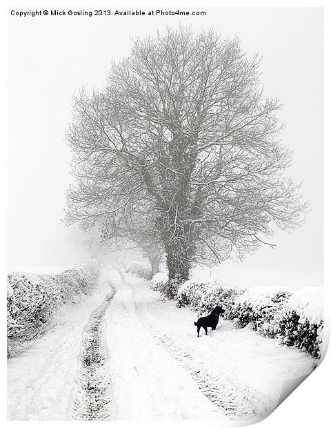 Winter Lane Print by RSRD Images 