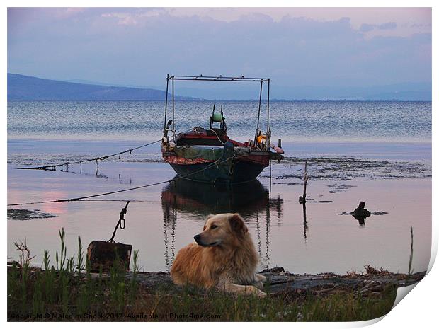 Fishing boat and dog Print by Malcolm Snook
