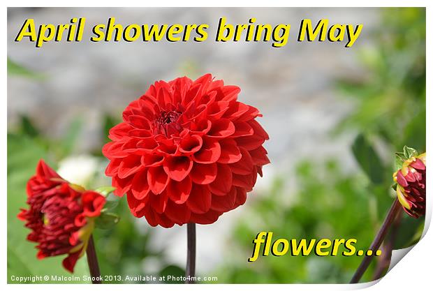 April Showers Bring May Flowers Print by Malcolm Snook