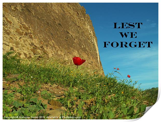 Lest We Forget Print by Malcolm Snook