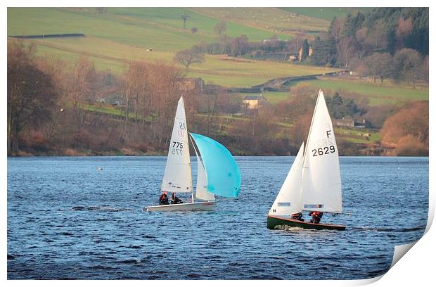 Dinghy Racing In Winter Print by Malcolm Snook