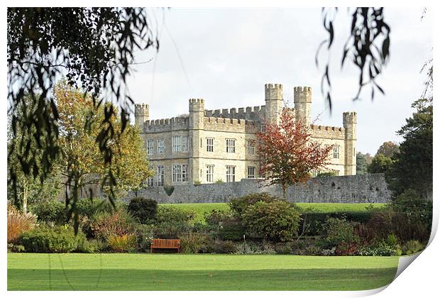 leeds castle across the grass Print by Martyn Bennett