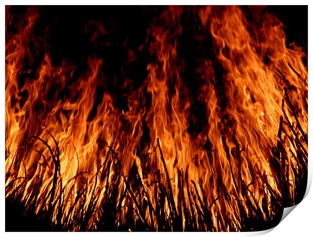 flame of fire Print by koushik majumder
