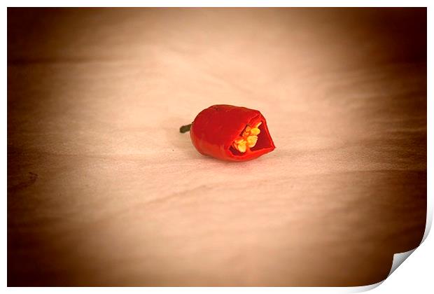 Red Chilli Pepper Print by Michael Bolton
