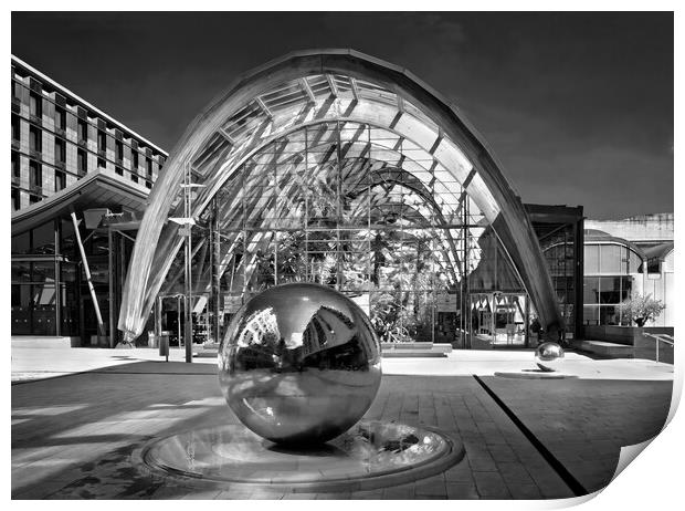 Sheffield Winter Gardens  Print by Darren Galpin