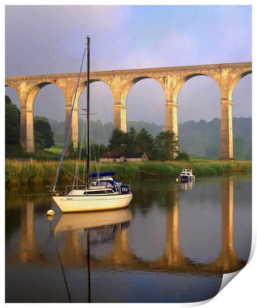 Calstock Viaduct & River Tamar Print by Darren Galpin