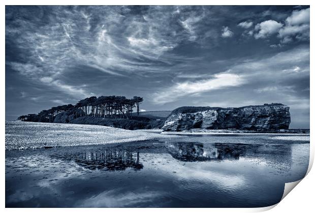 Coastline at Budleigh Salterton Print by Darren Galpin