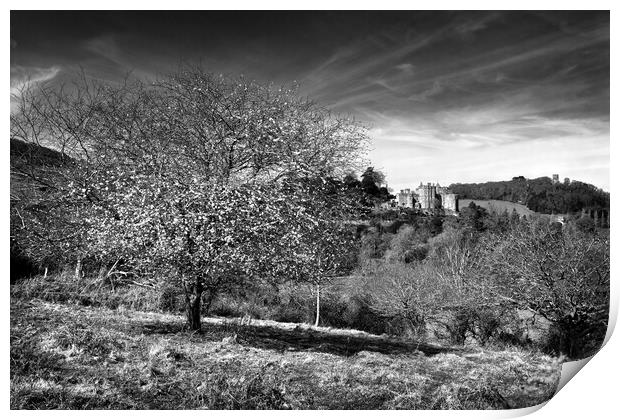  Dunster Castle Print by Darren Galpin