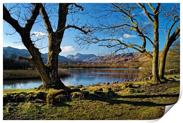 Elter Water Lake District Cumbria  Print by Darren Galpin