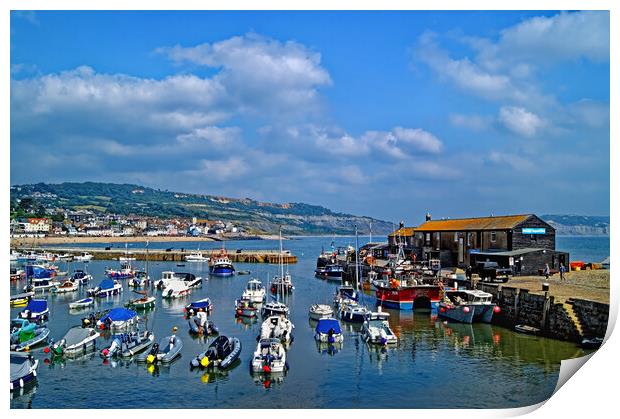 Lyme Regis Harbour  Print by Darren Galpin