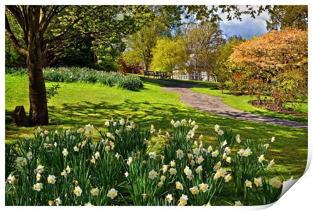 Spring in Sheffield Botanical Gardens Print by Darren Galpin