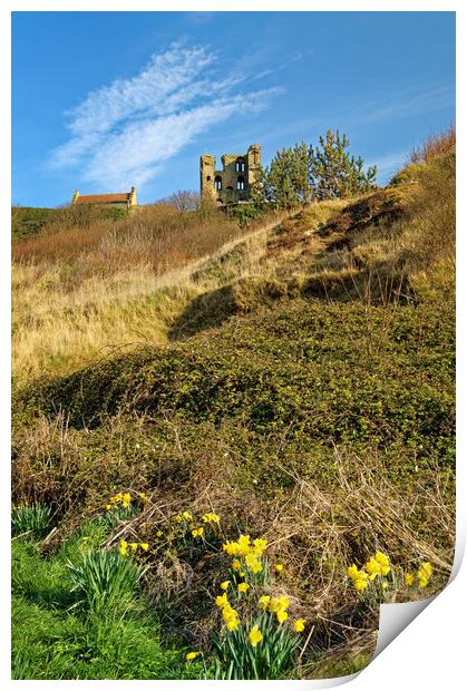 Scarborough Castle and Daffodils Print by Darren Galpin