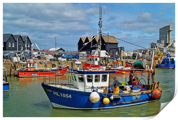 Catch of the Day at Whitstable Harbour Print by Darren Galpin