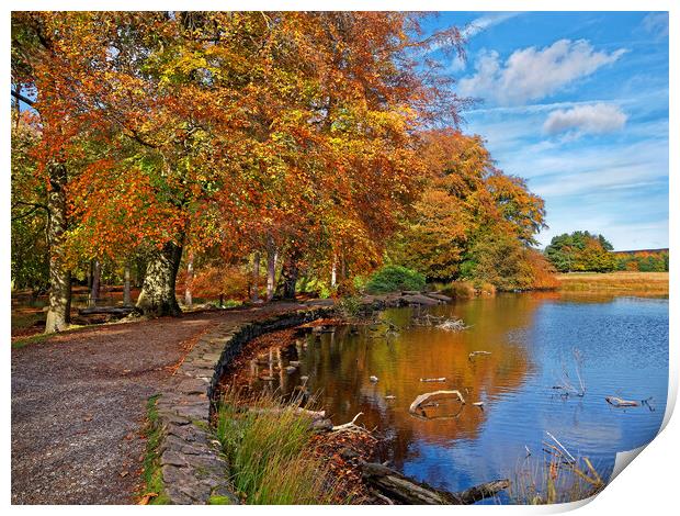 Longshaw Pond     Print by Darren Galpin