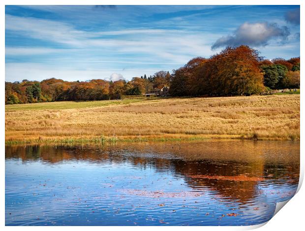 Longshaw Pond     Print by Darren Galpin