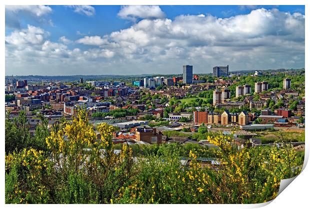 Parkwood Springs View over Sheffield Print by Darren Galpin