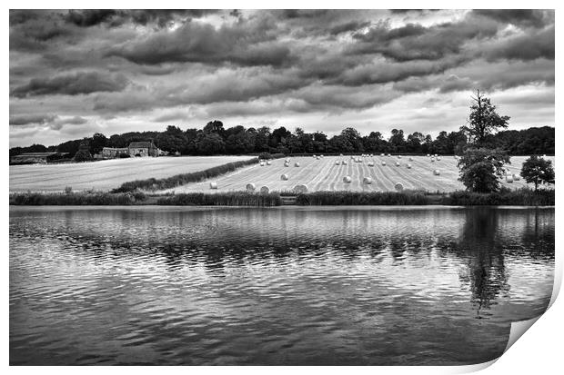 Morley Pond, Wentworth Print by Darren Galpin