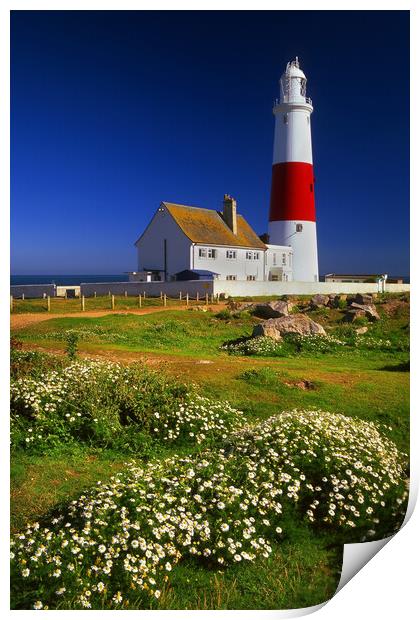 Portland Bill Lighthouse Print by Darren Galpin