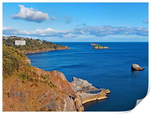 View from Daddyhole Cove, Torquay Print by Darren Galpin