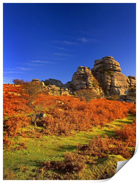 Vixen Tor, Dartmoor Print by Darren Galpin