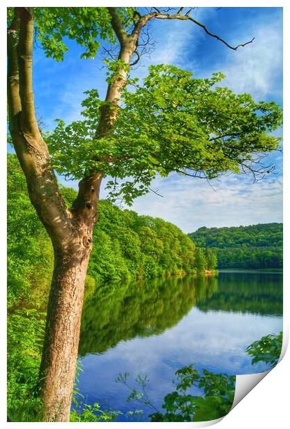 Damflask Reservoir  Print by Darren Galpin