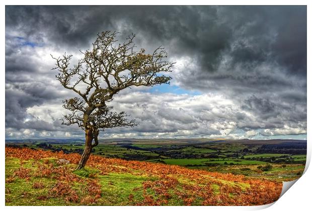 Dark Clouds over Combestone Tor Print by Darren Galpin