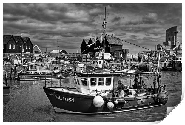 Catch of the Day at Whitstable Harbour  Print by Darren Galpin