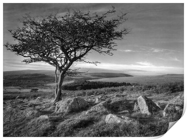 Two Moors Way Dartmoor  Print by Darren Galpin