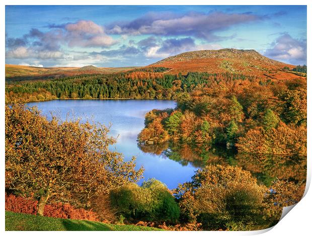 Dartmoor Burrator Reservoir  Print by Darren Galpin