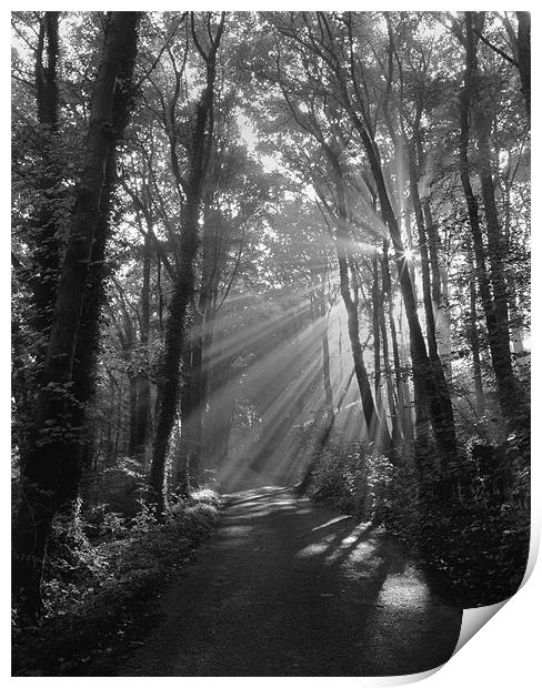 Light Rays through Castleton Lane,Peak District Print by Darren Galpin