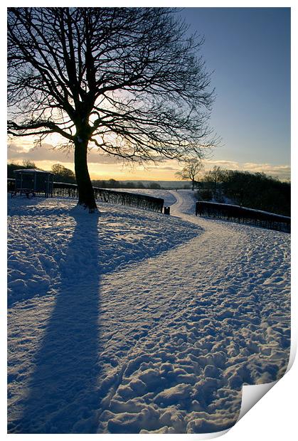 Footpath Through The Snow Print by Darren Galpin