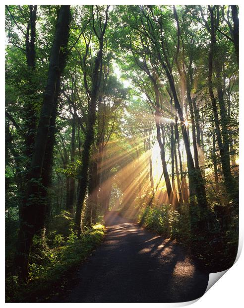 Light Rays through Castleton Lane,Peak District Print by Darren Galpin