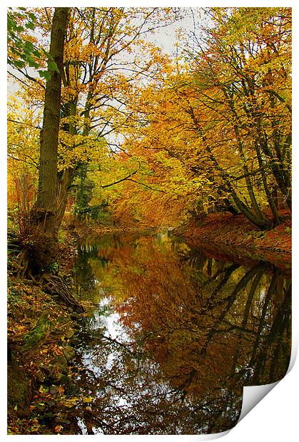 Autumn Colours,River Derwent,Matlock Print by Darren Galpin