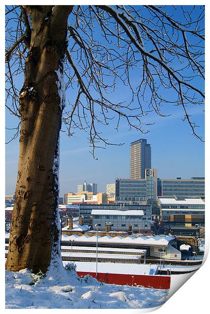 Sheffield City Centre viewed from Park Hill Print by Darren Galpin