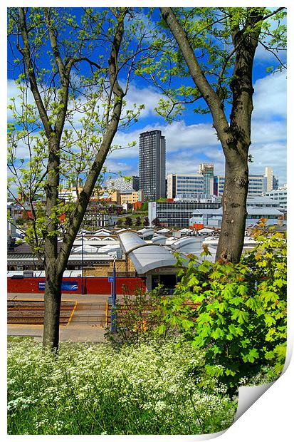 Springtime in Sheffield Print by Darren Galpin