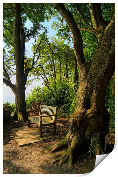 Bench with a View, Durlston Bay near Swanage Print by Darren Galpin