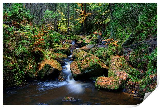 Wyming Brook with Autumn Colours Print by Darren Galpin
