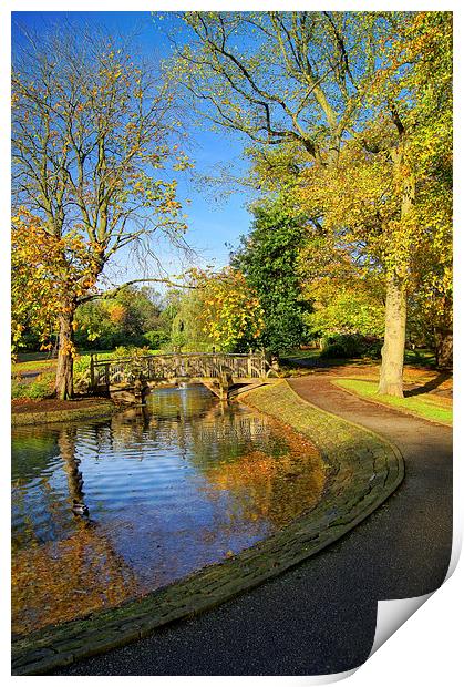 Weston Park Pond in Sheffield Print by Darren Galpin