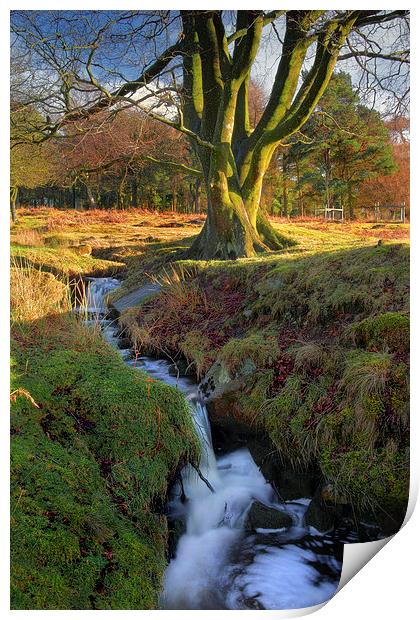 Peak District Falls Print by Darren Galpin