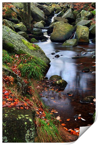 Autumn Colours in Padley Gorge Print by Darren Galpin