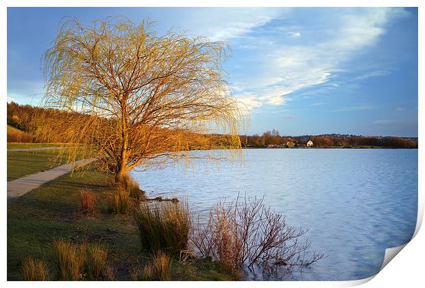 Rother Valley Country Park Print by Darren Galpin