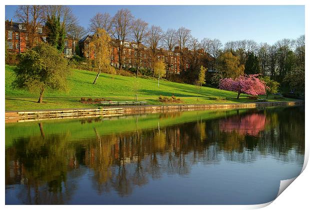 Crookes Valley Park Reflections Print by Darren Galpin