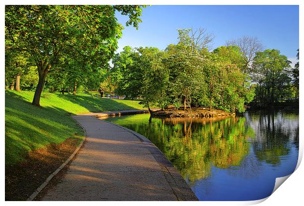 Hillsborough Park Lake, Sheffield Print by Darren Galpin