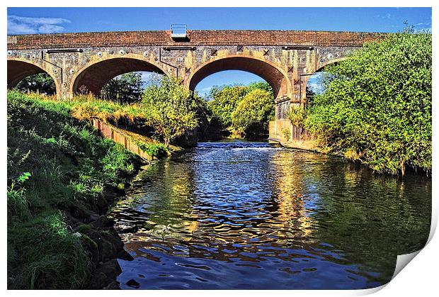 Bridge over River Dearne Print by Darren Galpin