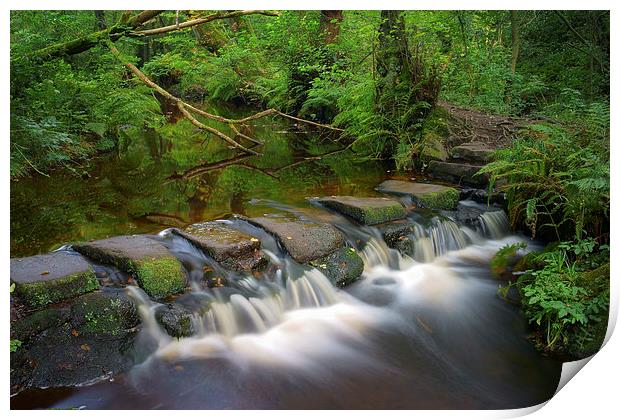 Third Coppice Stepping Stones, Rivelin  Print by Darren Galpin