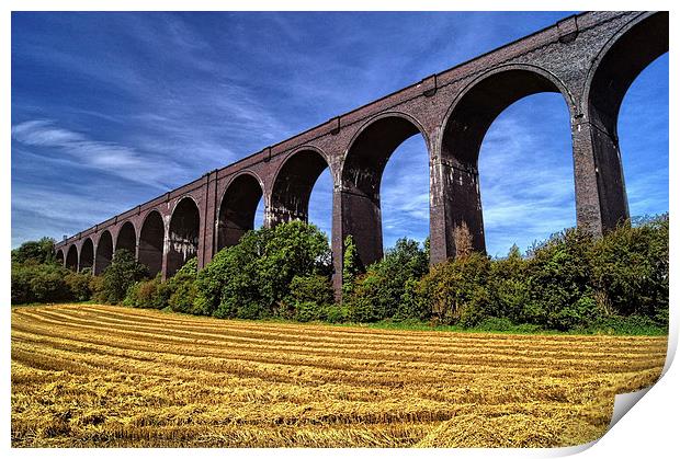Conisbrough Viaduct  Print by Darren Galpin