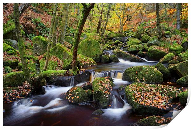Autumn Colours in Padley Gorge  Print by Darren Galpin