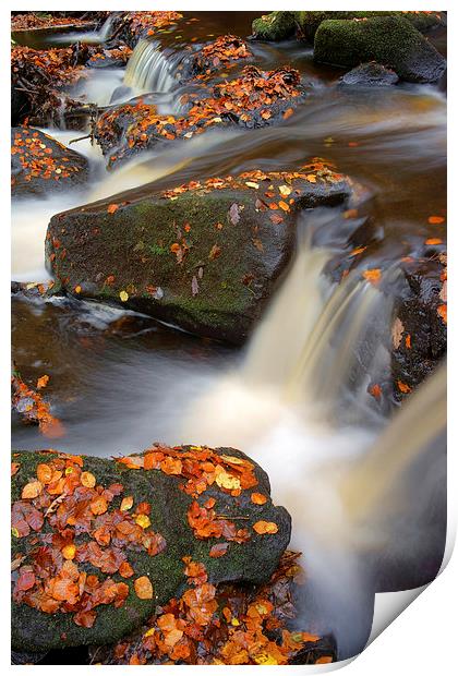 On the Rocks in Padley Gorge  Print by Darren Galpin