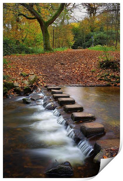 Porter Brook Stepping Stones and Falls Print by Darren Galpin