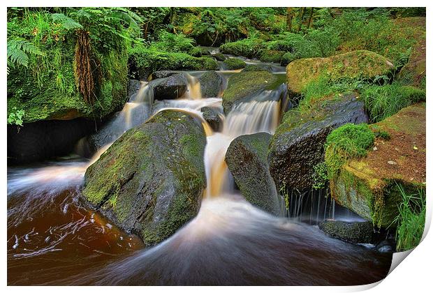 Wyming Brook Falls in Summer  Print by Darren Galpin